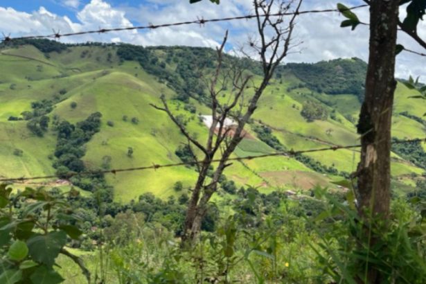 Eloiso Gomes Afonso Durães