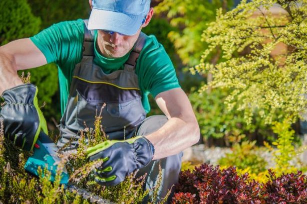 Paulo Augusto Berchielli