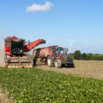 Alfredo Moreira Filho