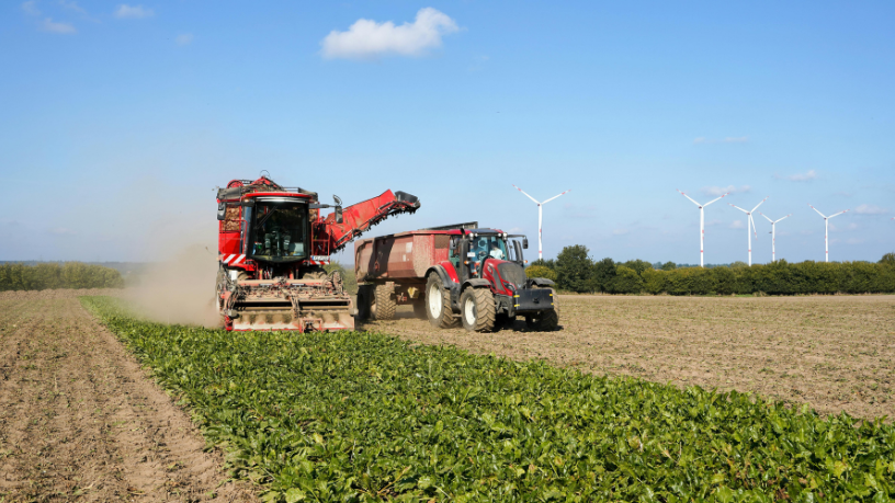 Alfredo Moreira Filho