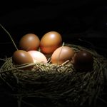 Ovos marrons reunidos em um ninho de palha sobre fundo escuro