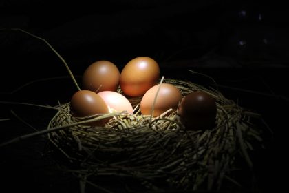 Ovos marrons reunidos em um ninho de palha sobre fundo escuro